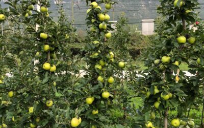 Κατασκευή Συστήματος Εξαερισμού σε θάλαμο φάρμακων